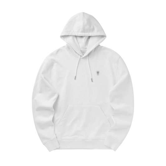 Ami hoodie